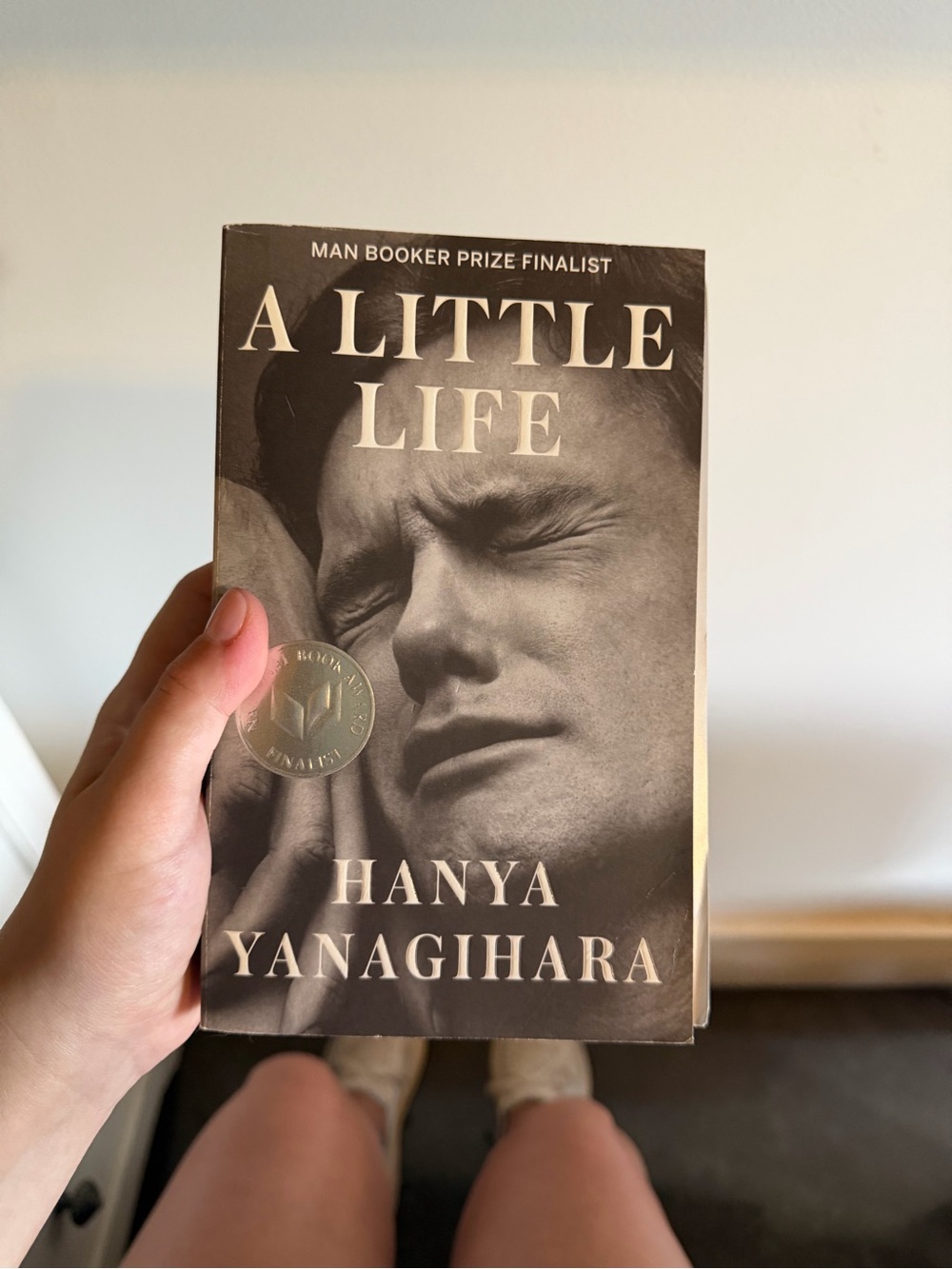A Little Life by Hanya Yanagihara
